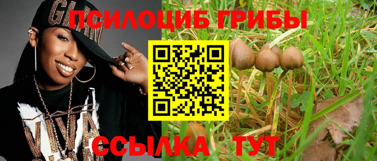 Псилоцибиновые грибы MAGIC MUSHROOMS Рязань